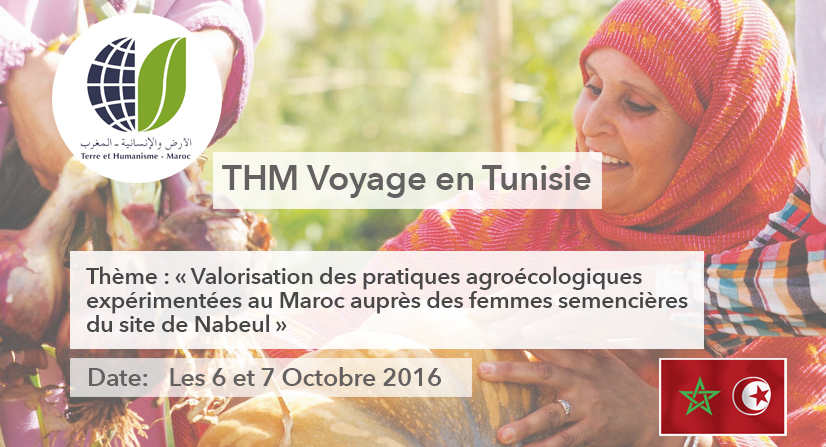 thm-voyage-en-tunisie