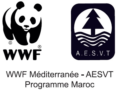 Atelier de formation WWF-AESVT