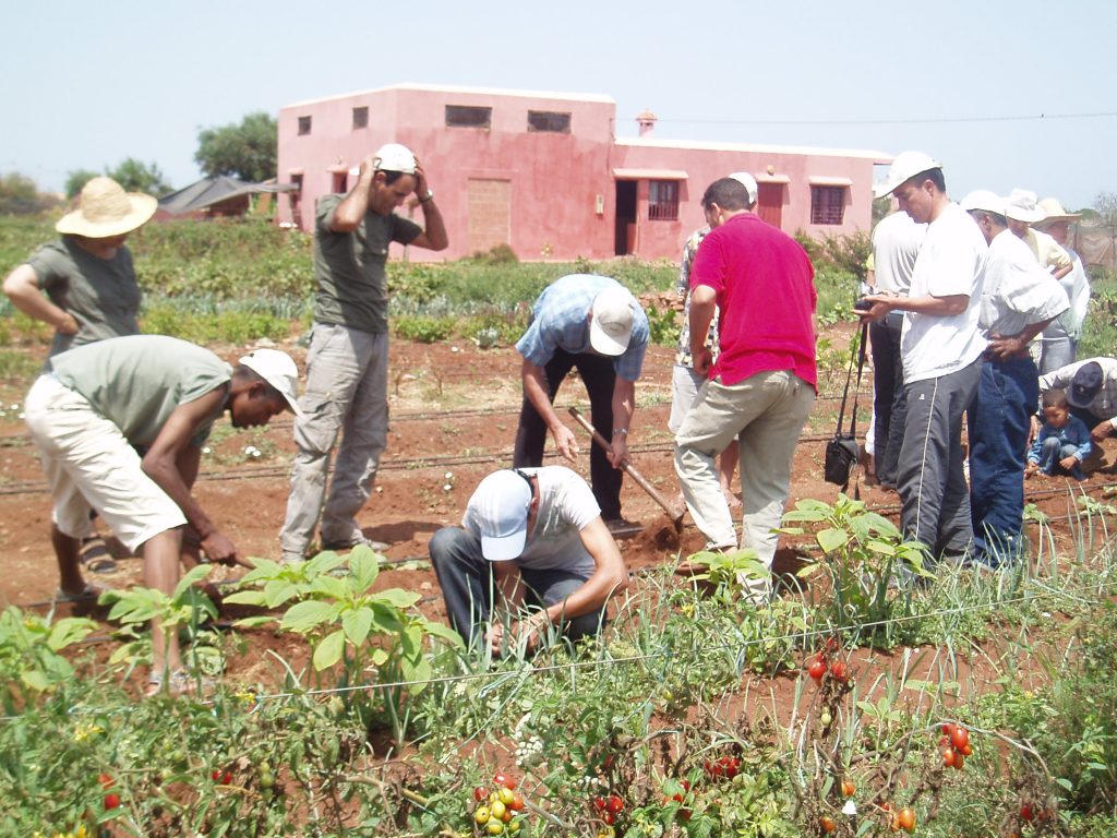 Formation des animateurs agroecologie maroc