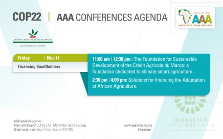COP22 et THM. AAA Adaptation of African Agriculture / Intervention de Fattouma Djerrari