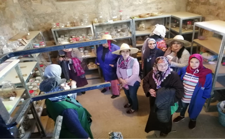 Formation femmes semencières 2019