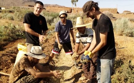 Stagiaires en action cipa pierre rabhi oct19