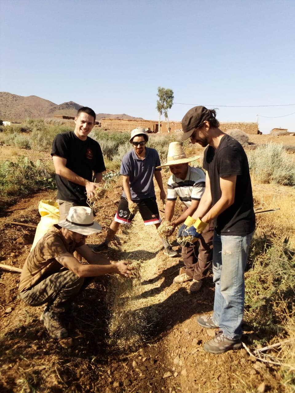Stagiaires en action cipa pierre rabhi oct19