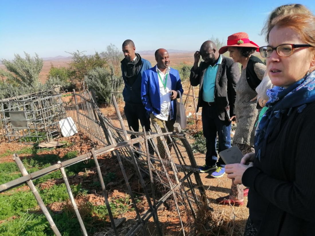 visite Cipa nov congres scientique agriculture bio afrique 2