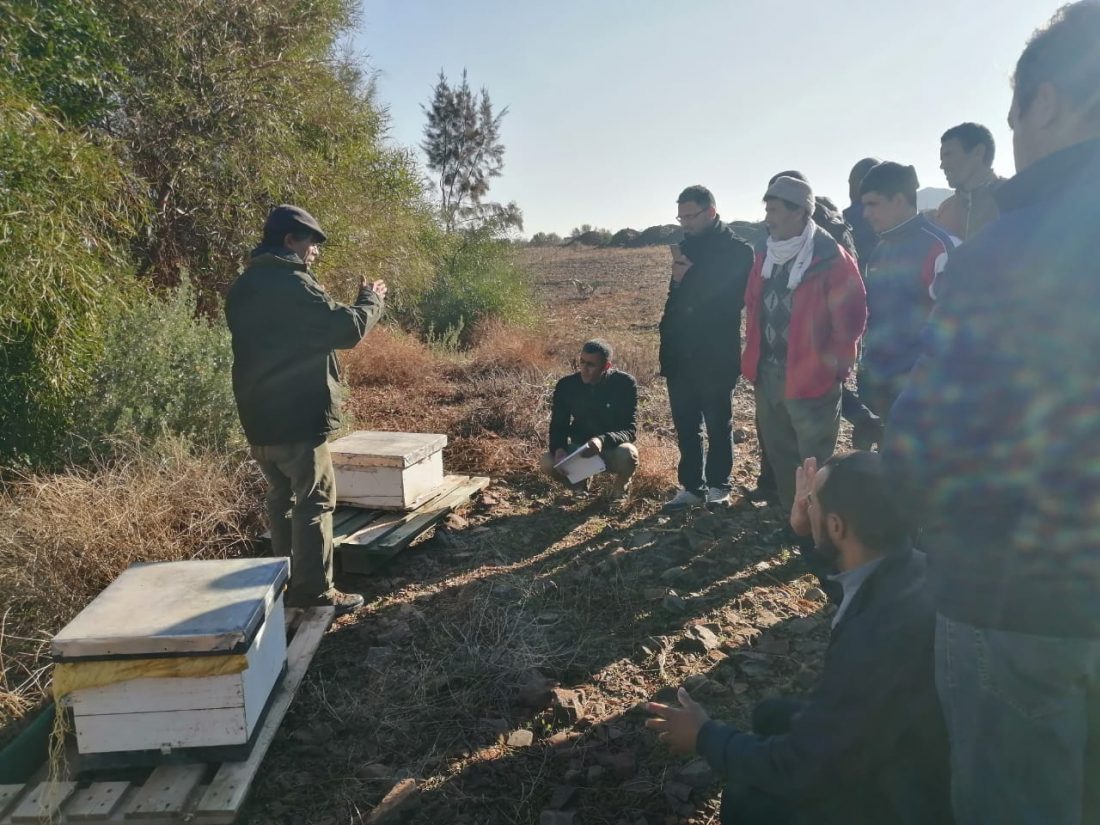 Formation ACACTAE en Apiculture (paysans du Sud) au CIPA-PIERRE RABHI du 09 au 13 déc 2019