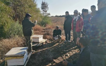 Formation ACACTAE en Apiculture (paysans du Sud) au CIPA-PIERRE RABHI du 09 au 13 déc 2019