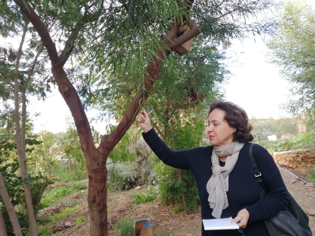 Formation ACACTAE en Apiculture (paysans du Sud) au CIPA-PIERRE RABHI du 09 au 13 déc 2019