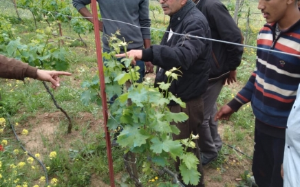 Formation du 27 et 28 mars de la FNSA Benslimane THM
