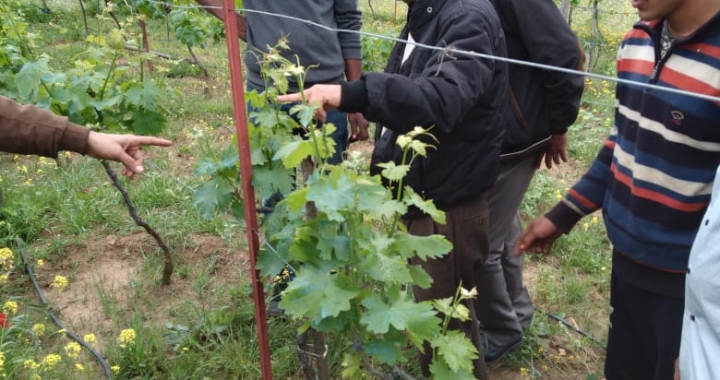 Formation du 27 et 28 mars de la FNSA Benslimane THM